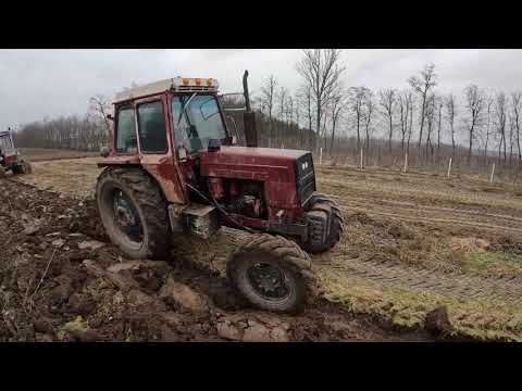 Видео: Оранка 25 січня 2023р. ЮМЗ 8240 ЛТЗ 60 т40 зимова оранка пахота. plowing UMZ 6.