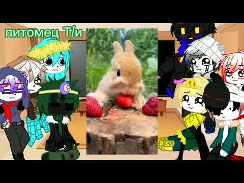 Видео: реакция сансов на Т/и