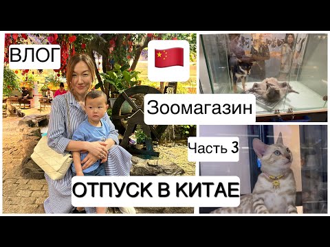 Видео: ВЛОГ: ОТПУСК В КИТАЕ 🇨🇳/ ЧАСТЬ 3/ Зоомагазин, едим суши, игровой дворик, вечерняя прогулка