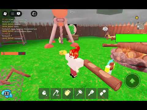 Видео: 12 ноября 2025 г.