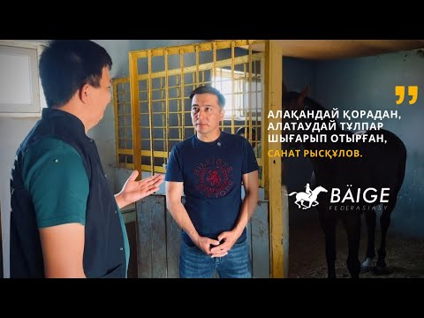 Видео: Алақандай қорадан, алатаудай тұлпарлар шығарып отырған, Санат Рысқұлов.