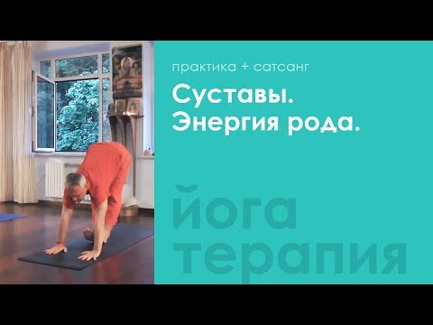 Видео: Суставы. Энергия рода. Август. 2015 — Сурья Дас
