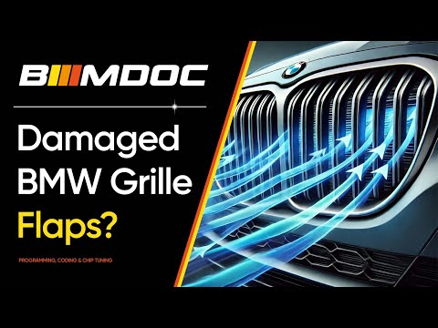 Видео: Активные заслонки BMW серии G: диагностика неисправностей, перекодирование и бюджетные решения