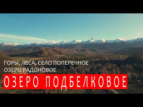 Видео: РИДДЕР. РАДОНОВОЕ. ПОДБЕЛКОВОЕ. ПОПЕРЕЧНОЕ.