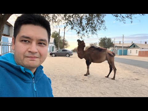 Видео: [vlog] 2 дня в Аральске. Иду в ЦОН, хожу по городу (KZ)