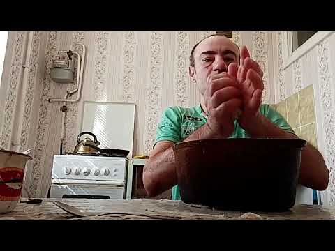 Видео: ПРОСТО ВЛОГ 