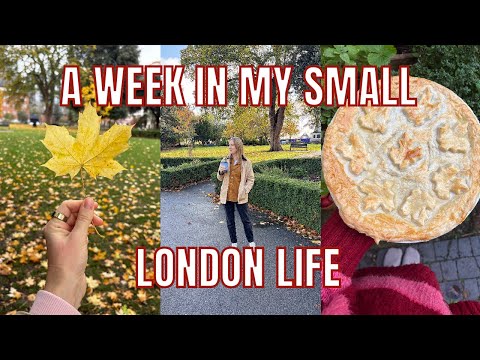 Видео: САЖУ НА НОВОМ ОВОЩНОМ ГРУНТЕ! / ВОСКРЕСНЫЕ ДНЕВНИКИ ЭММЫ