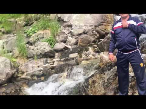 Видео: ПРЕМЬЕРА 2019 « Ариу » Автор и исполнитель - Шаугенов Башир