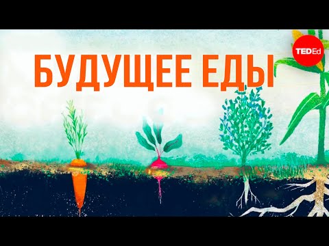 Видео: Будущее еды / Ted Ed на русском языке