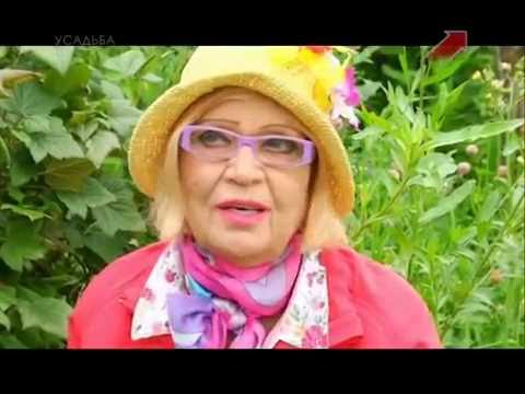 Видео: Сад.  Серия 215. Смородина.