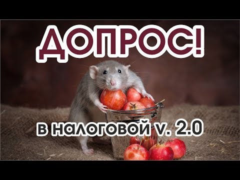 Видео: Допрос свидетеля с адвокатом в налоговой v.2 ✔✔✔