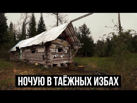 Видео: НЕПОГОДА ИЗМЕНИЛА мой МАРШРУТ | ВЫНУЖДЕННАЯ ДОРОГА К ЛЕСНОМУ ДОМУ | ИЗБА ВОДНИКОВ НА БЕРЕГУ РЕКИ