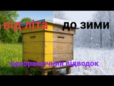 Видео: Однорамочний відводок від часу формування до зимову.