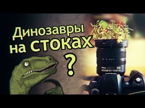 Видео: Ошибки новичков на Фотобанках. Динозавры на стоках. Проблемы на микростоках