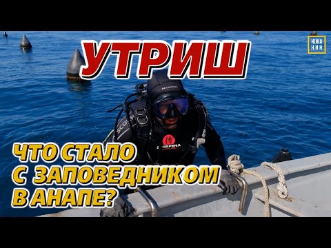Видео: Большой Утриш: устрицы, мидии и чистое море