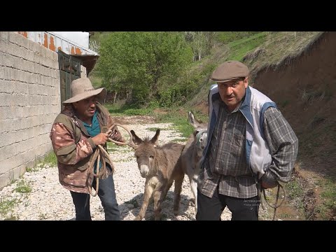 Видео: Лахзахои Гуворро! ХАРБИЗНЕС! саҳнаи нав 2025