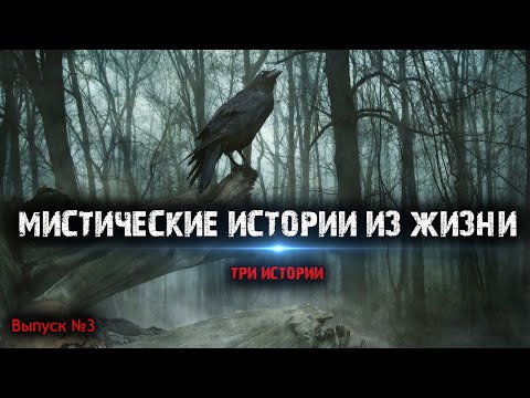 Видео: Мистические истории из жизни (3в1) Выпуск №3