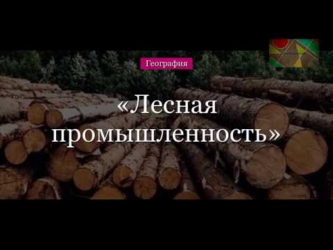 Видео: § 26 "Лесная промышленность", География 9 класс, Домогацких