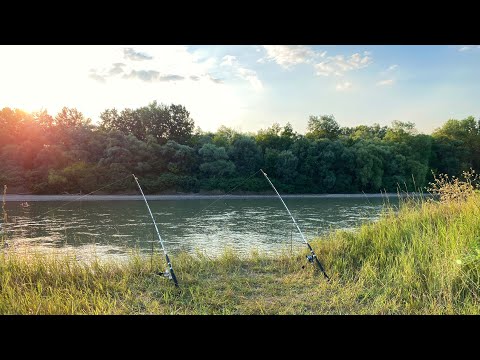 Видео: РЫБАЛКА НА КУБАНИ! РЫБАЧУ НА ВЕЧЕРНЕЙ ЗОРЬКЕ!!!