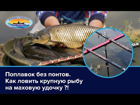 Видео: Поплавок без понтов. Как ловить крупную рыбу на маховую удочку?!