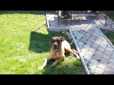 Видео: Марк Финал