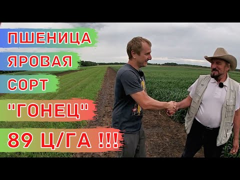 Видео: Интервью С Лучшим Селекционером Сибири