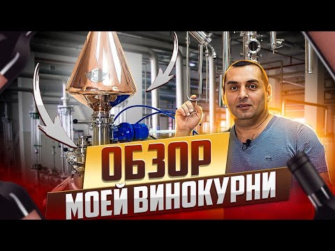 Видео: ОБЗОР МОЕЙ ВИНОКУРНИ