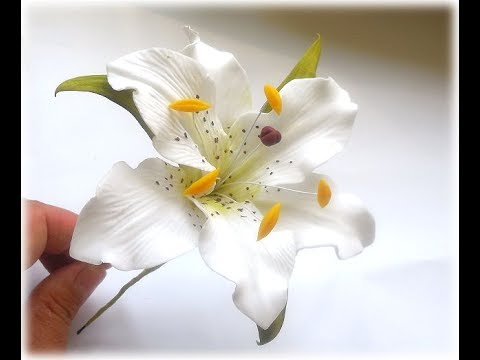 Видео: Как сделать красивую лилию из зефирного фоамирана - мастер класс