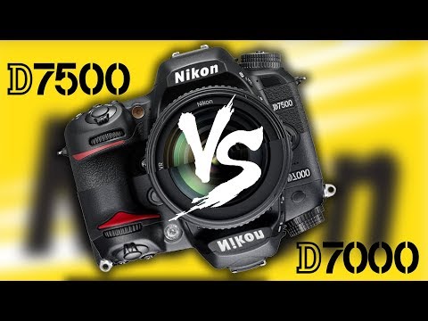 Видео: Сравнение NIKON D7000 vs NIKON D7500 versus