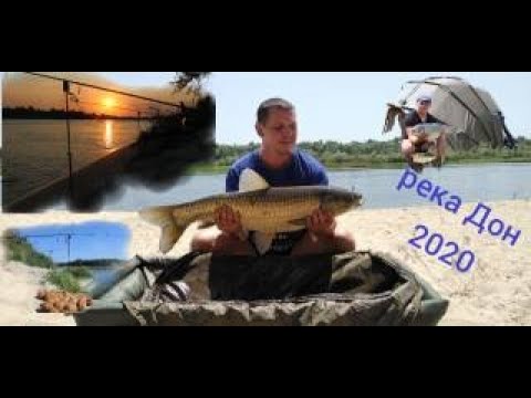 Видео: Рыбалка на реке Дон июль 2020