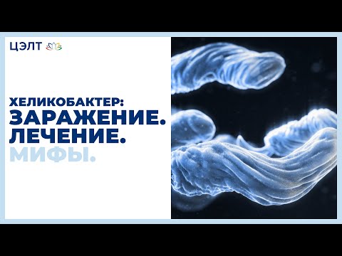 Видео: Хеликобактер: Заражение. Лечение. Мифы.