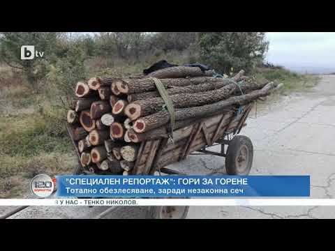 Видео: 120 минути: Енергийната криза и скъпите дърва активизираха бракониерите