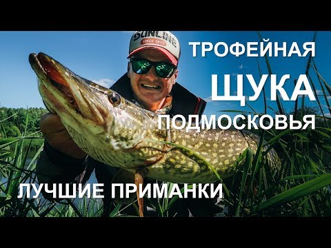 Видео: Трофейная щука в Подмосковье. Выбор лучшей приманки для малых рек