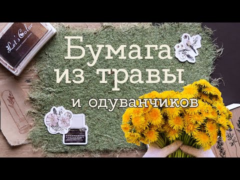 Видео: Пробую сделать БУМАГУ ИЗ ТРАВЫ И ОДУВАНЧИКОВ | Masherisha