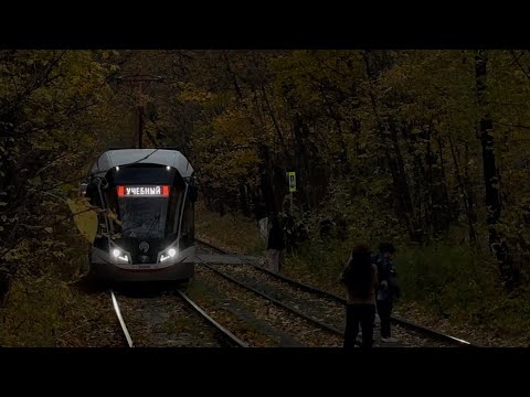 Видео: Все снимают! Лесной трамвай в Сокольниках