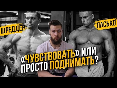 Видео: Нужно ли чувствовать мышцы? Шредер или Пасько / Правильный Бодибилдинг