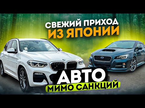 Видео: ПОСЛЕДНИЕ АВТО ИЗ ЯПОНИИ до санкций. ЦЕНЫ 2023❗️BMW X3❗️Levorg❗️COROLLA ❗️VOLVO❗️Mercedes