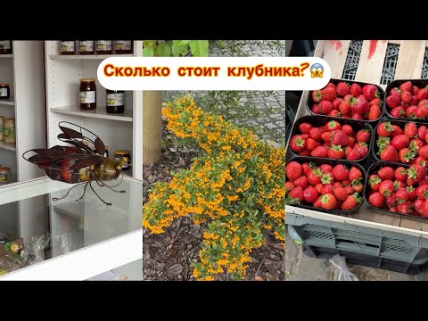 Видео: Vlog: Рынок в маленьком городе. Сколько потратили 🤔