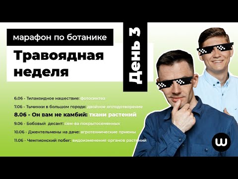 Видео: ТКАНИ РАСТЕНИЙ | ЕГЭ Биология 2020 | Даниил Дарвин | Вебиум