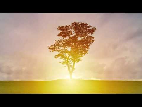 Видео: 17. Счастье (Ulhas) - Шри Шри Рави Шанкар