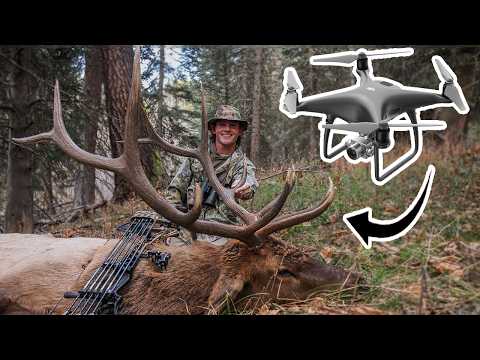 Видео: Охота на лося с луком | Тепловой дрон поймал моего самого крупного лося