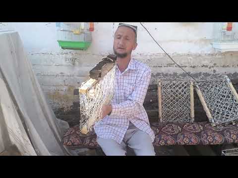 Видео: 29 мая 2025 г.