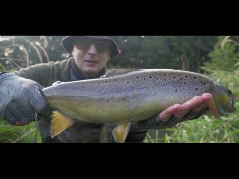 Видео: Последняя рыбалка в сезоне. Рекордная форель 2022