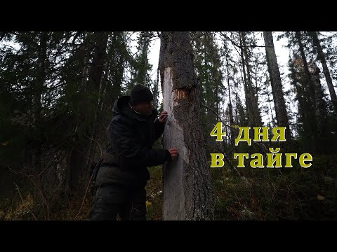 Видео: ЖИВЁМ С БАТЕЙ 4 ДНЯ В ИЗБЕ. КРЕСТ. БЫТ В ТАЙГЕ. РЫБАЛКА.