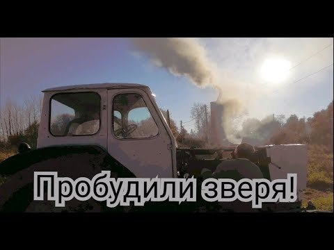 Видео: Заводим ЮМЗ 6КЛ после долгой спячки. Оживление ЮМЗ.