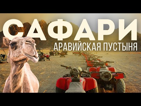 Видео: 🔥 Мото-Сафари в Хургаде 2025 – Полная Программа, Квадроциклы, Бедуины, Советы | Империя Туризма