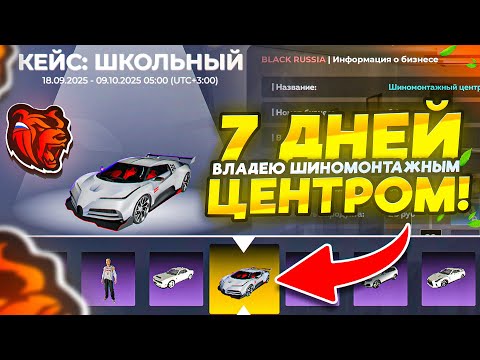 Видео: 7 ДНЕЙ ВЛАДЕНИЯ ШИНОМОНТАЖНЫМ ЦЕНТРОВ! РЕЗУЛЬТАТЫ И ФИНКА В ДНИ ОБНОВЫ на БЛЕК РАША! BLACK RUSSIA