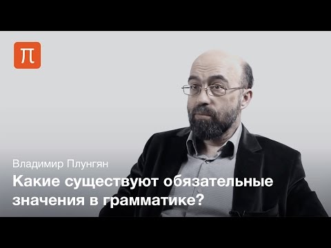 Видео: Грамматические категории - Владимир Плунгян