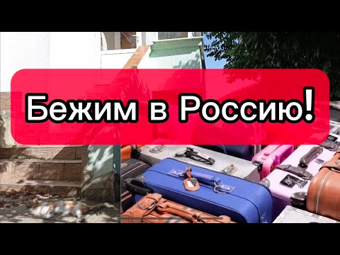 Видео: Из Болгарии! Возвращаемся назад! Нет больше сил? Дороговизна! Не справились!