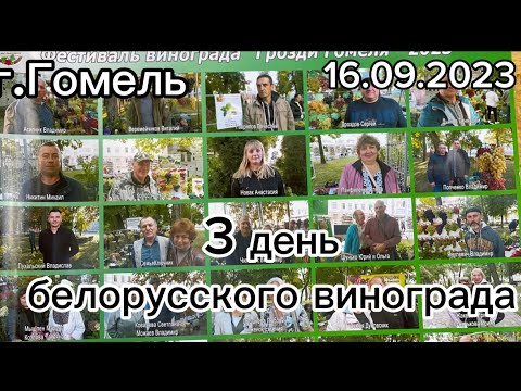 Видео: 16.09.2023  г.Гомель выставка винограда Беларусь.3 день белорусского винограда часть 1/3